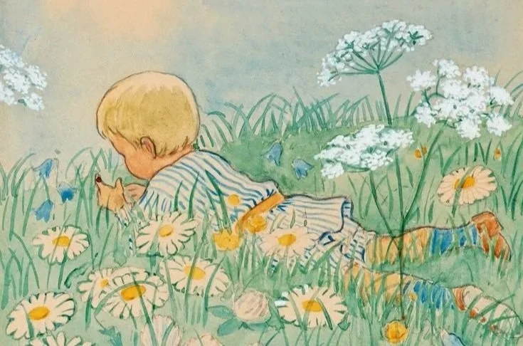 A young boy with blonde hair lying in a meadow surrounded by daisies and other white flowers, looking at butterflies.