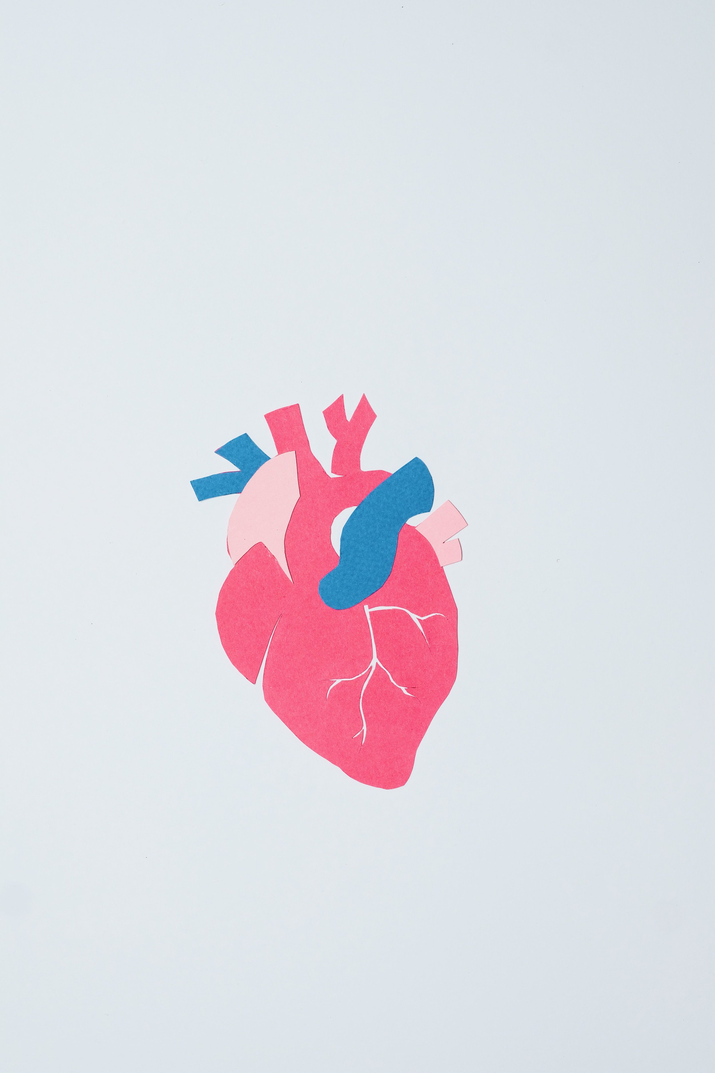 Heart Failure