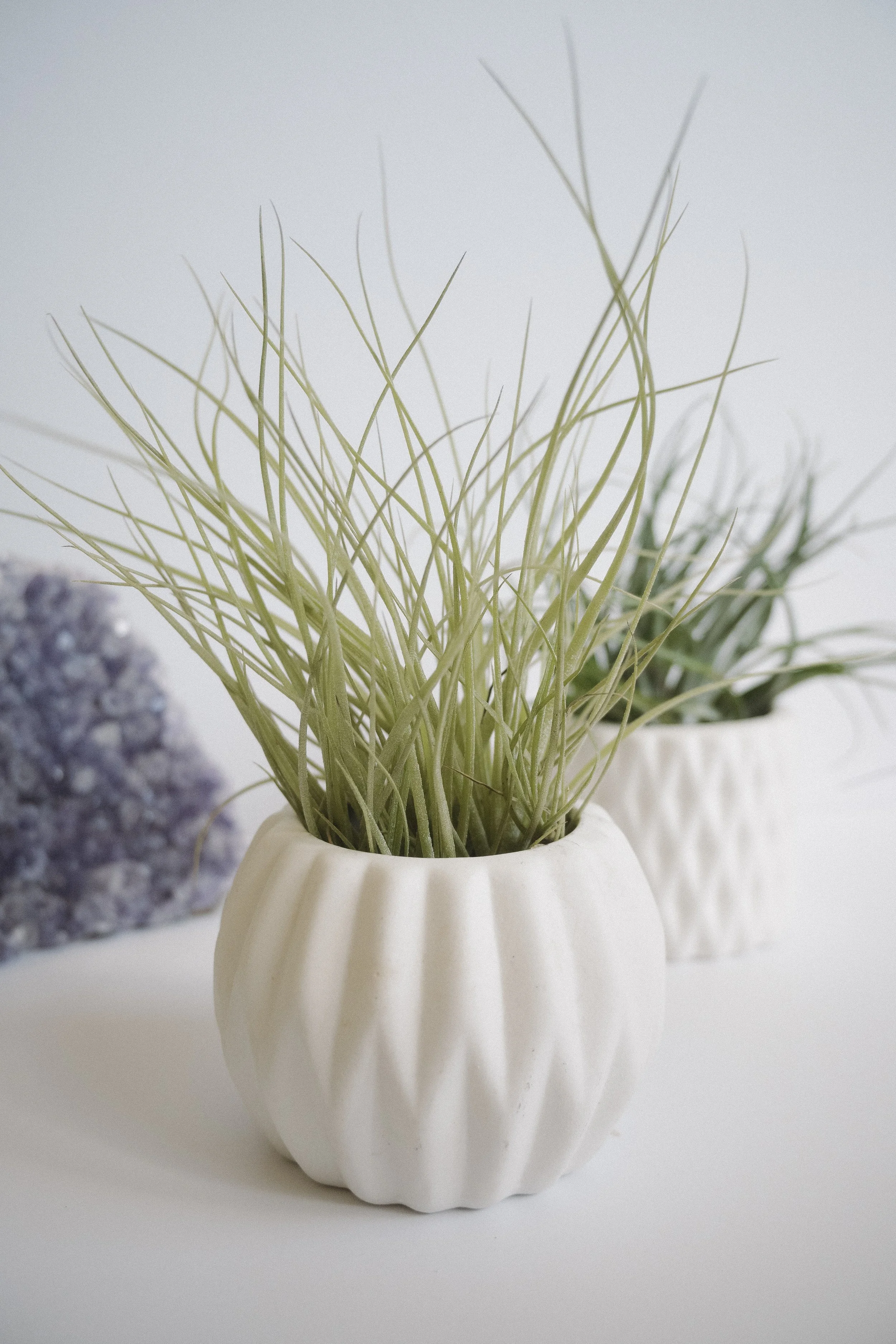 Ceramic Air Plant Pot