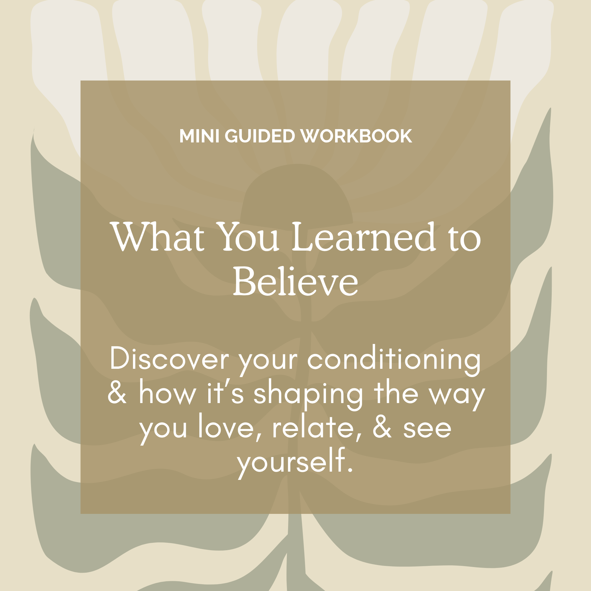 What You Learned to Believe