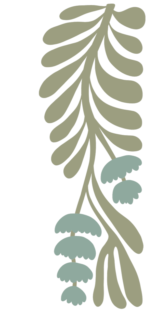 Stylized illustration of a hanging plant with elongated leaves and small mushrooms on a black background.