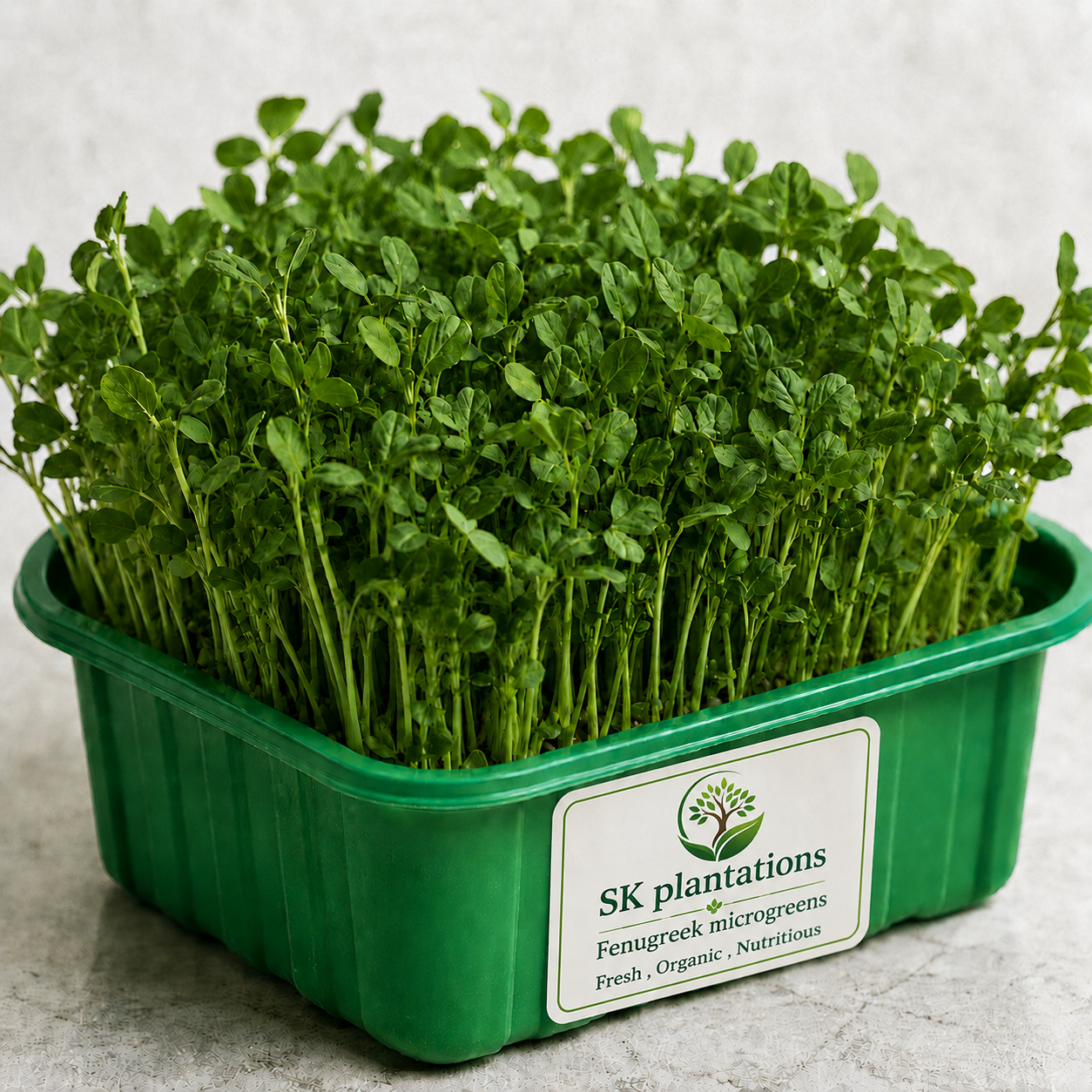 fenugreek microgreens.png