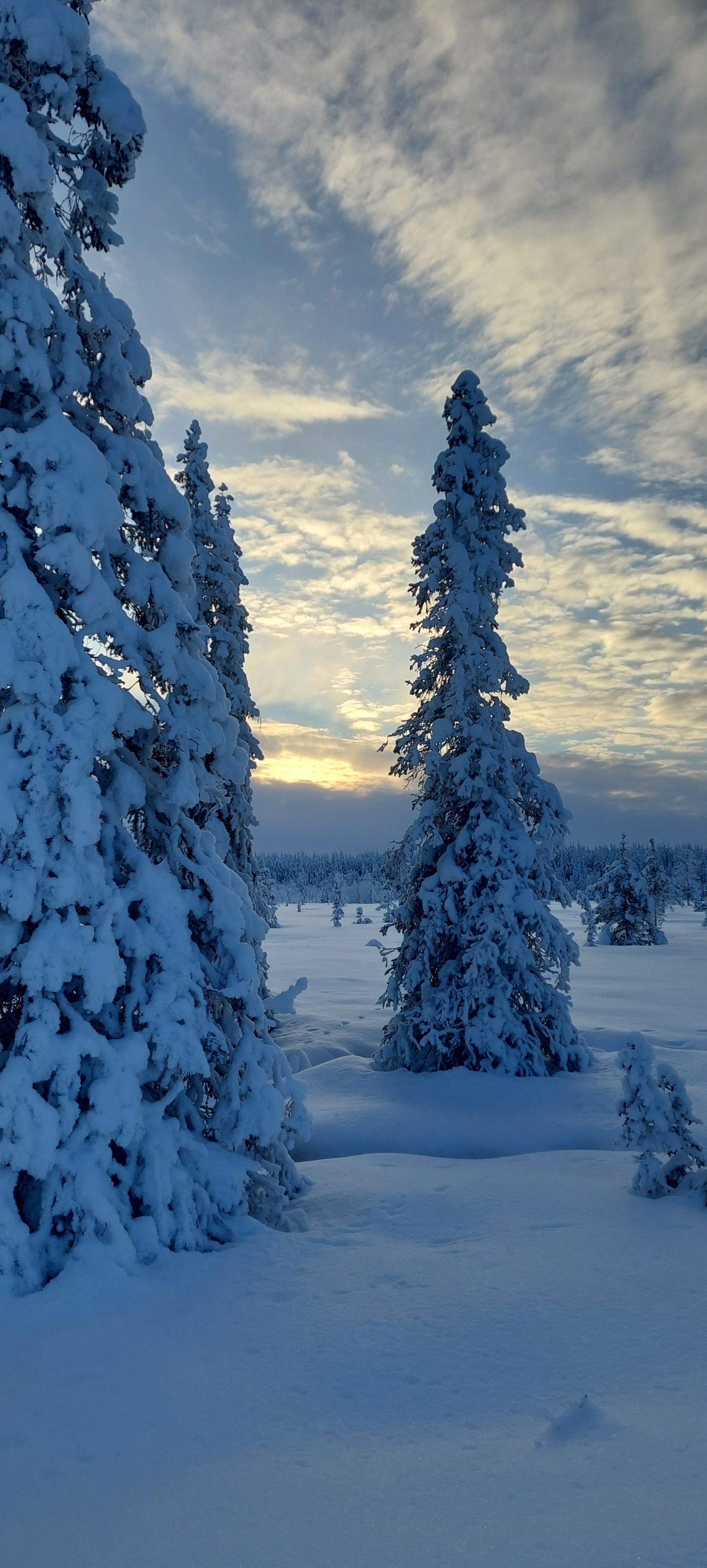 20260125_133956.jpg