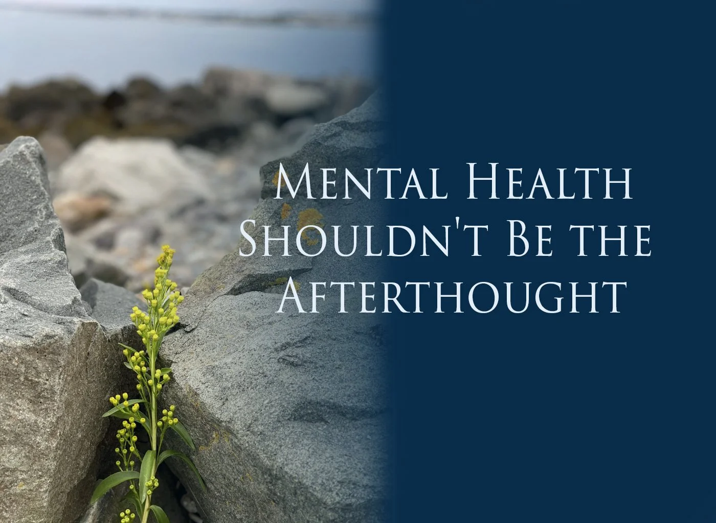 Back-to-School Mental Health: Helping Your Child Navigate the Pressure
