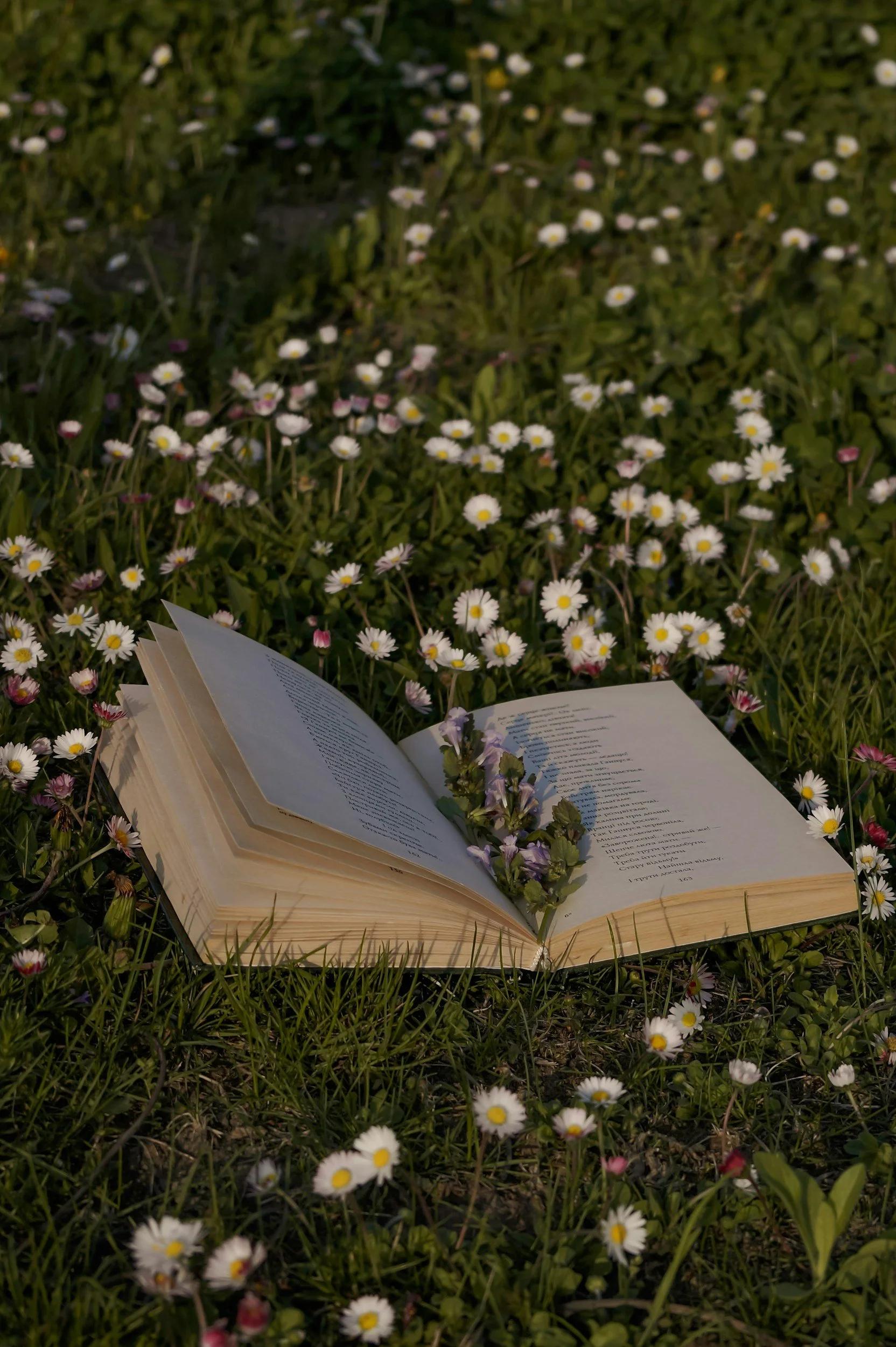 a book open on a field of wildflowers, held open by a bookmark of flowers