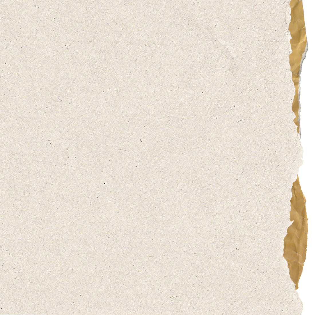 A piece of torn beige paper with uneven edges on the right side.