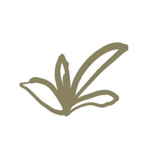 A simple, stylized illustration of a small plant with three leaves on a black background.