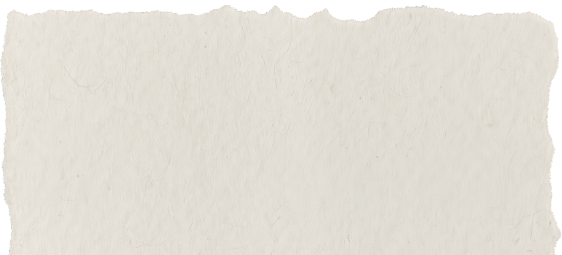Blank, torn piece of paper with a textured surface and uneven edges.