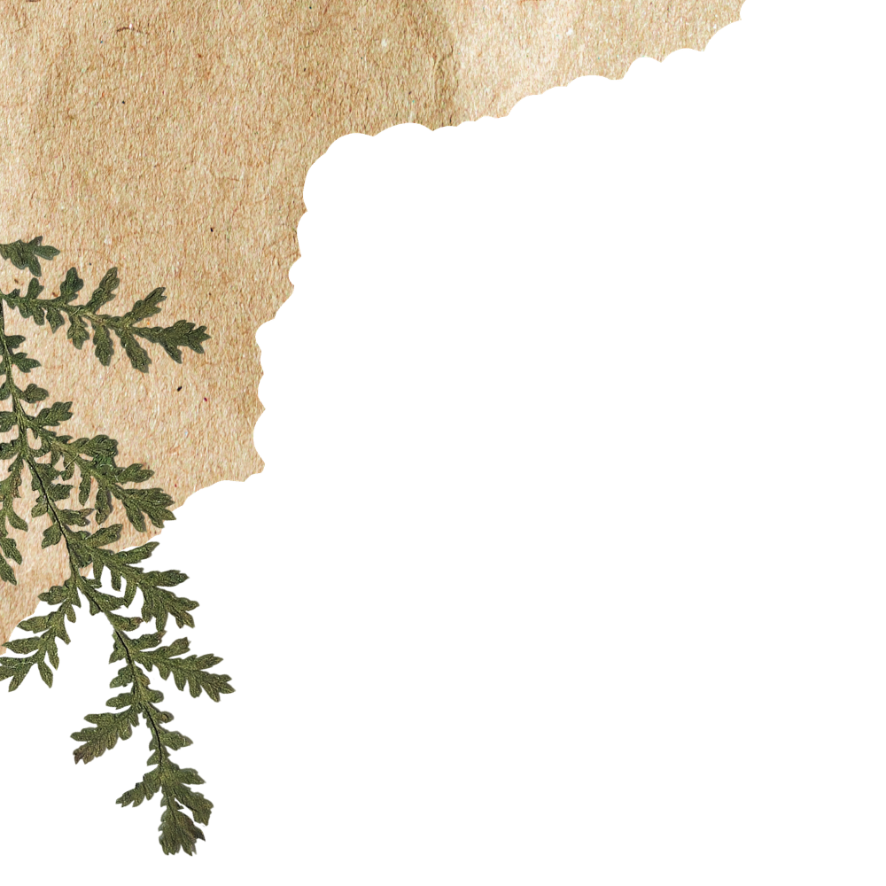 Decorative image with a torn paper effect, green fern leaves on the left, and colorful vertical stripes on the distorted right side.