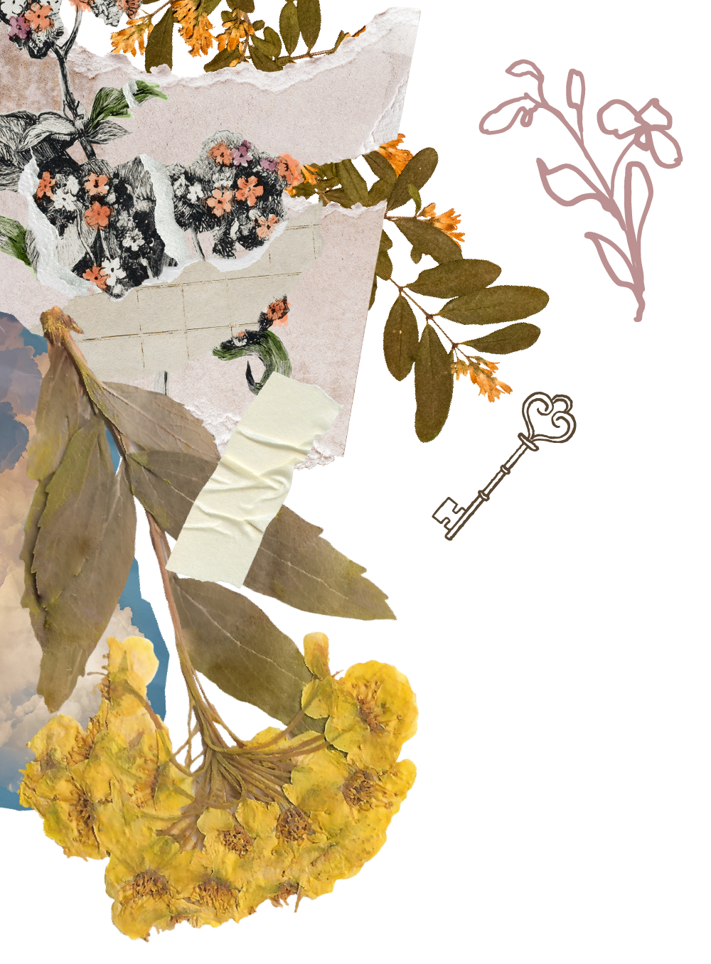 A collage of dried flowers, leaves, and artistic paper fragments arranged on a flat surface.