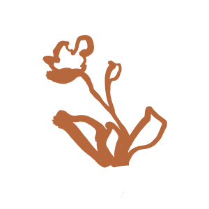 A simple line drawing of a small plant with two leaves and a blooming flower.