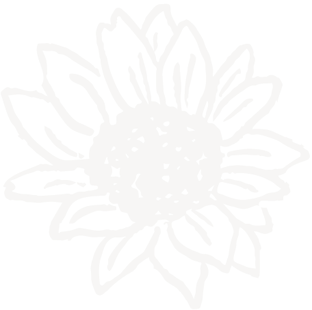 A black and white outline drawing of a sunflower with multiple petals surrounding a central disk.