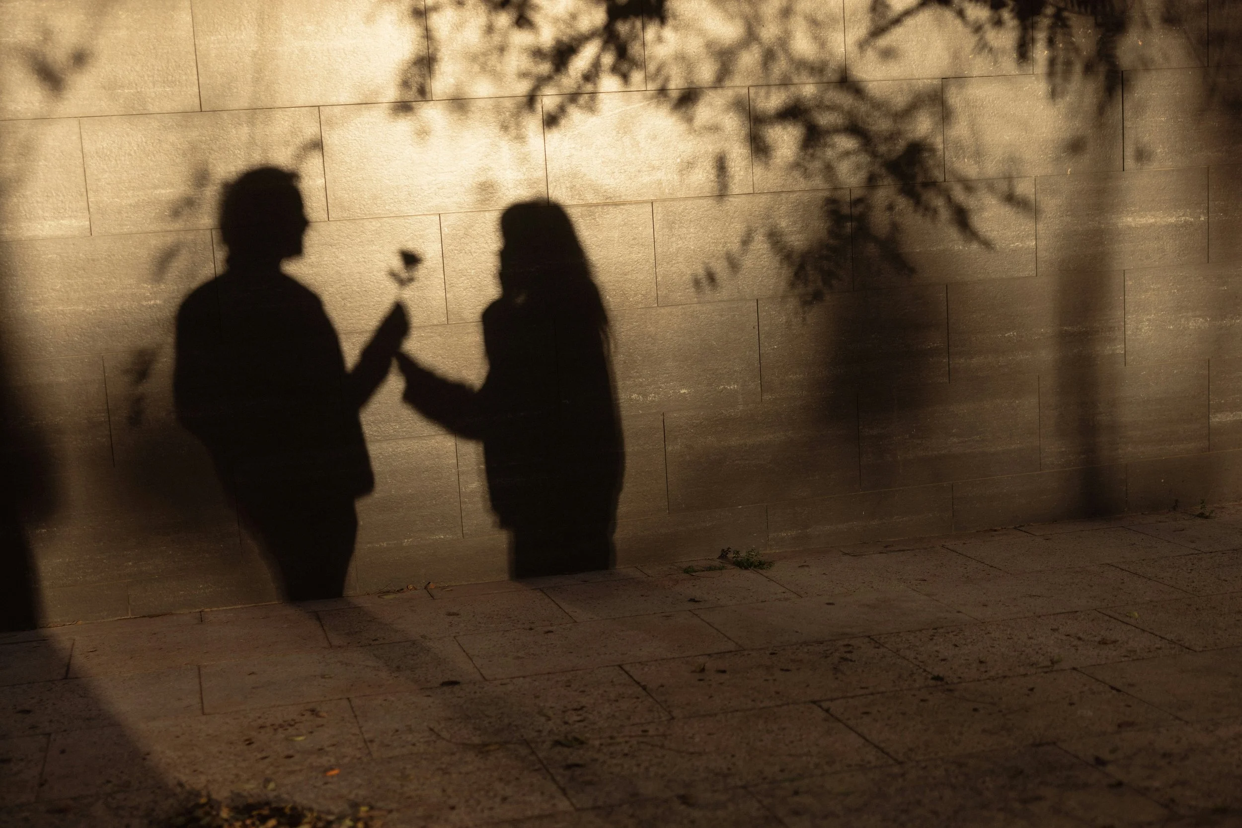 Shadows of a man and woman holding hands and a flower, cast on a brick wall, with trees casting additional shadows.