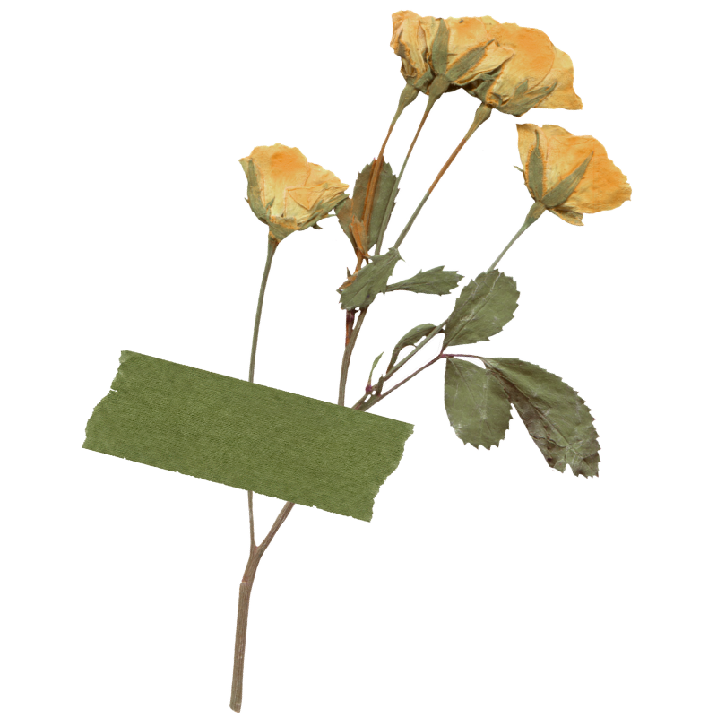 yellow flowers with green washi tape