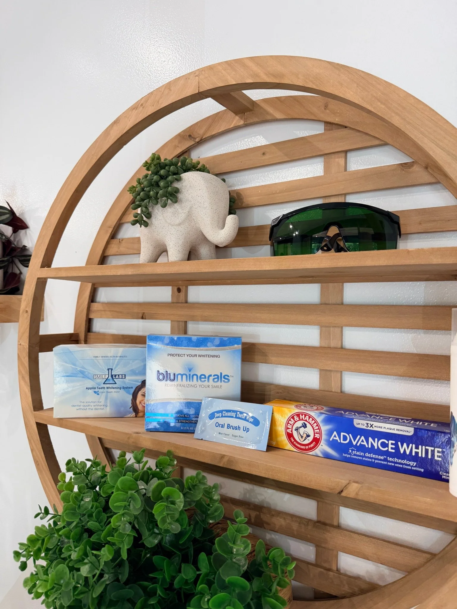 Decorative wooden wall shelf with a potted green plant, a pair of black sunglasses, and oral hygiene products including toothpaste and mouthwash.