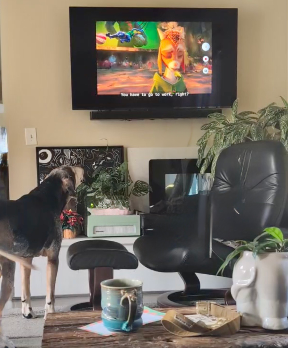 Gus howling at the TV image