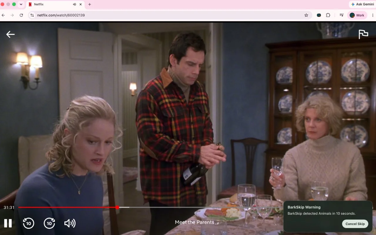 Does a Cat Appear in Meet the Parents?
