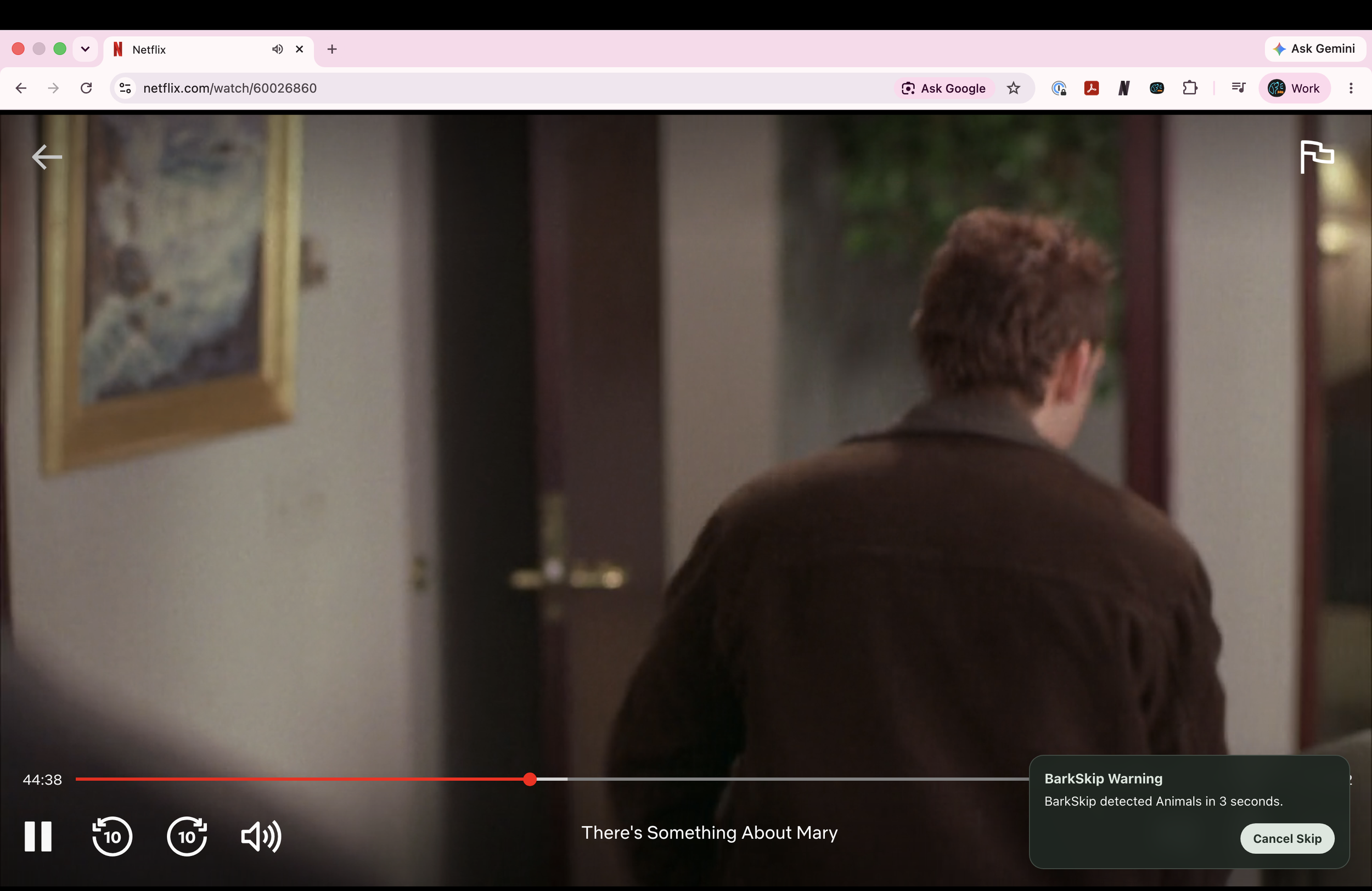 Does a Dog Appear in There's Something About Mary?