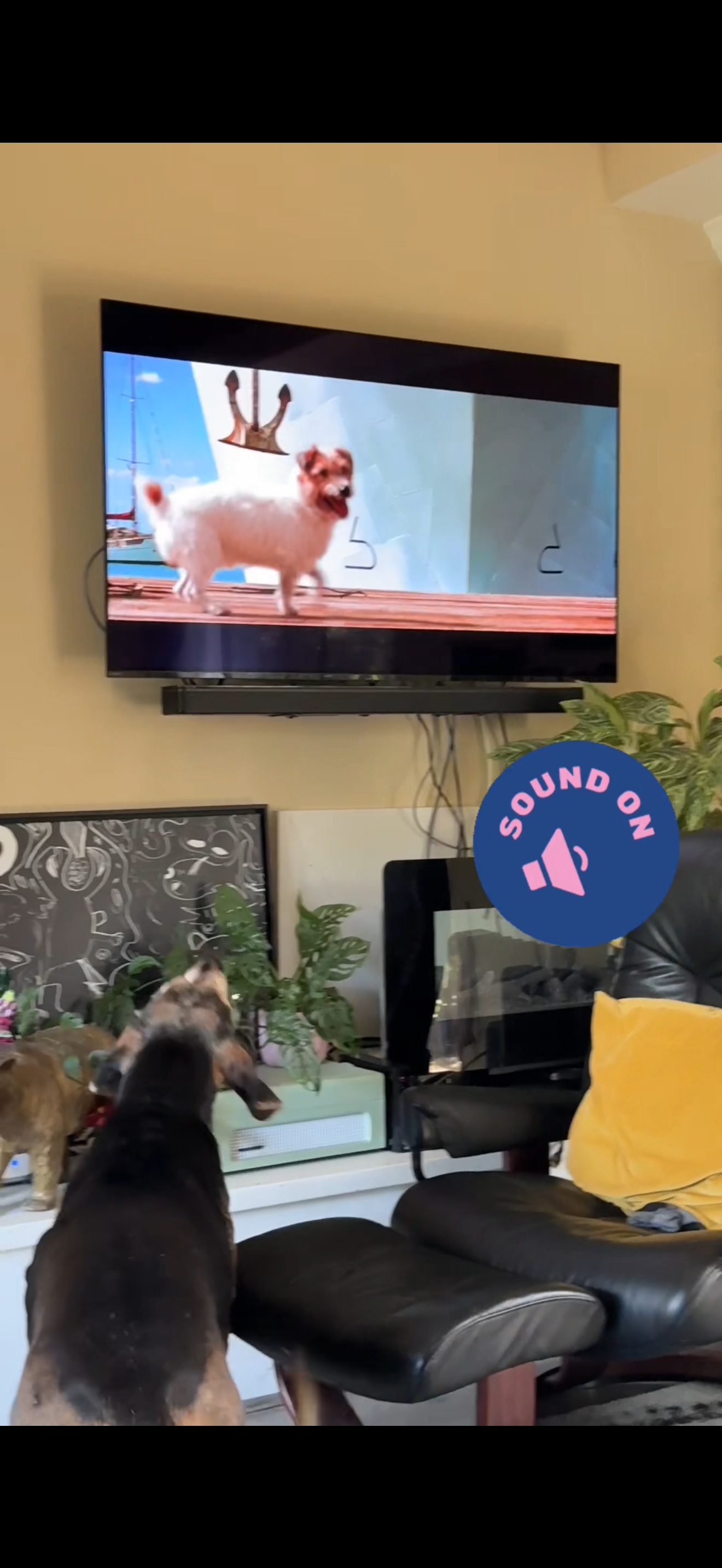 Meet Gus: Why I Built "Parental Controls" for Dogs