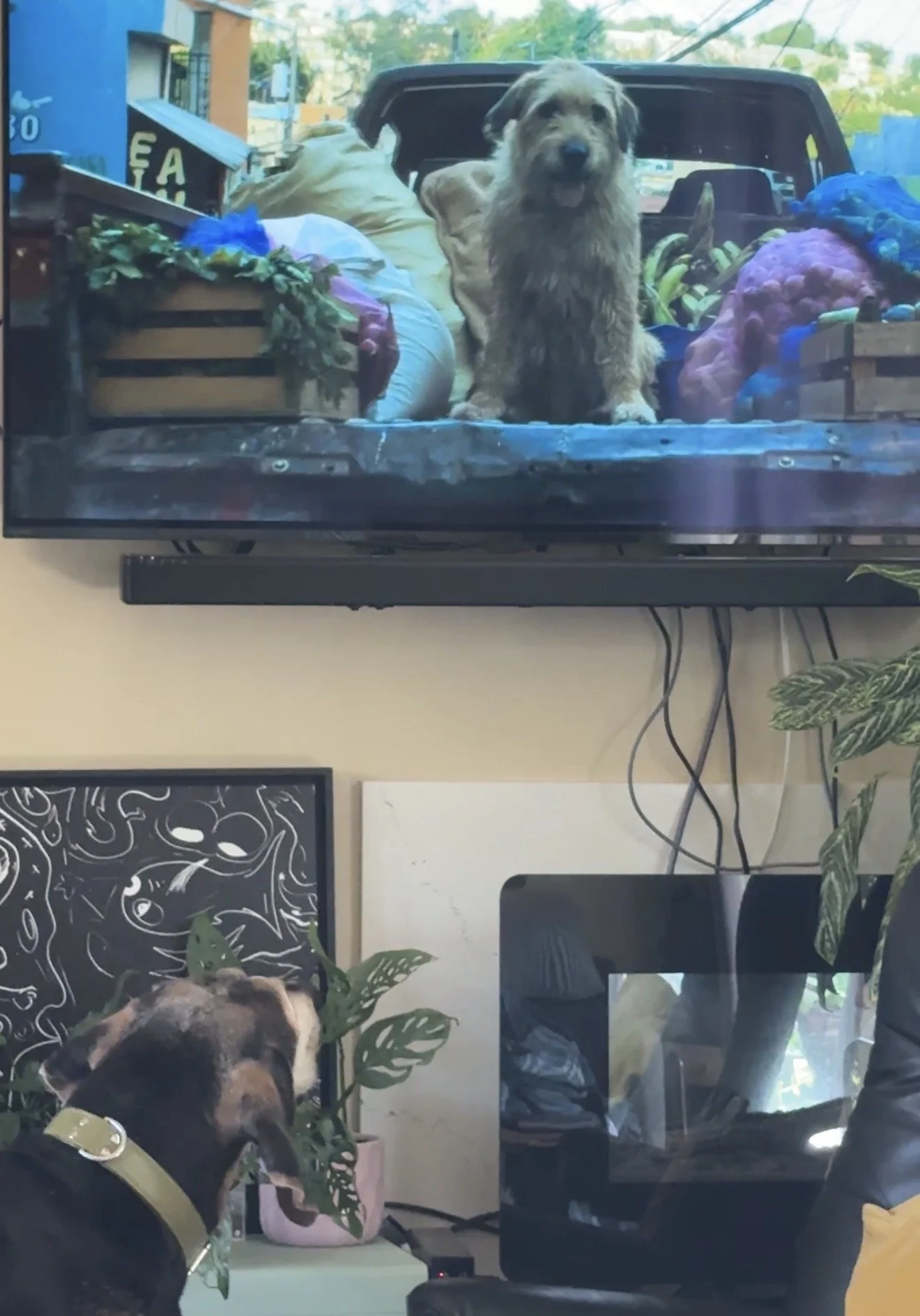 BarkSkip vs. Arthur the King: How Do You Skip the Dog in a Movie About a Dog?