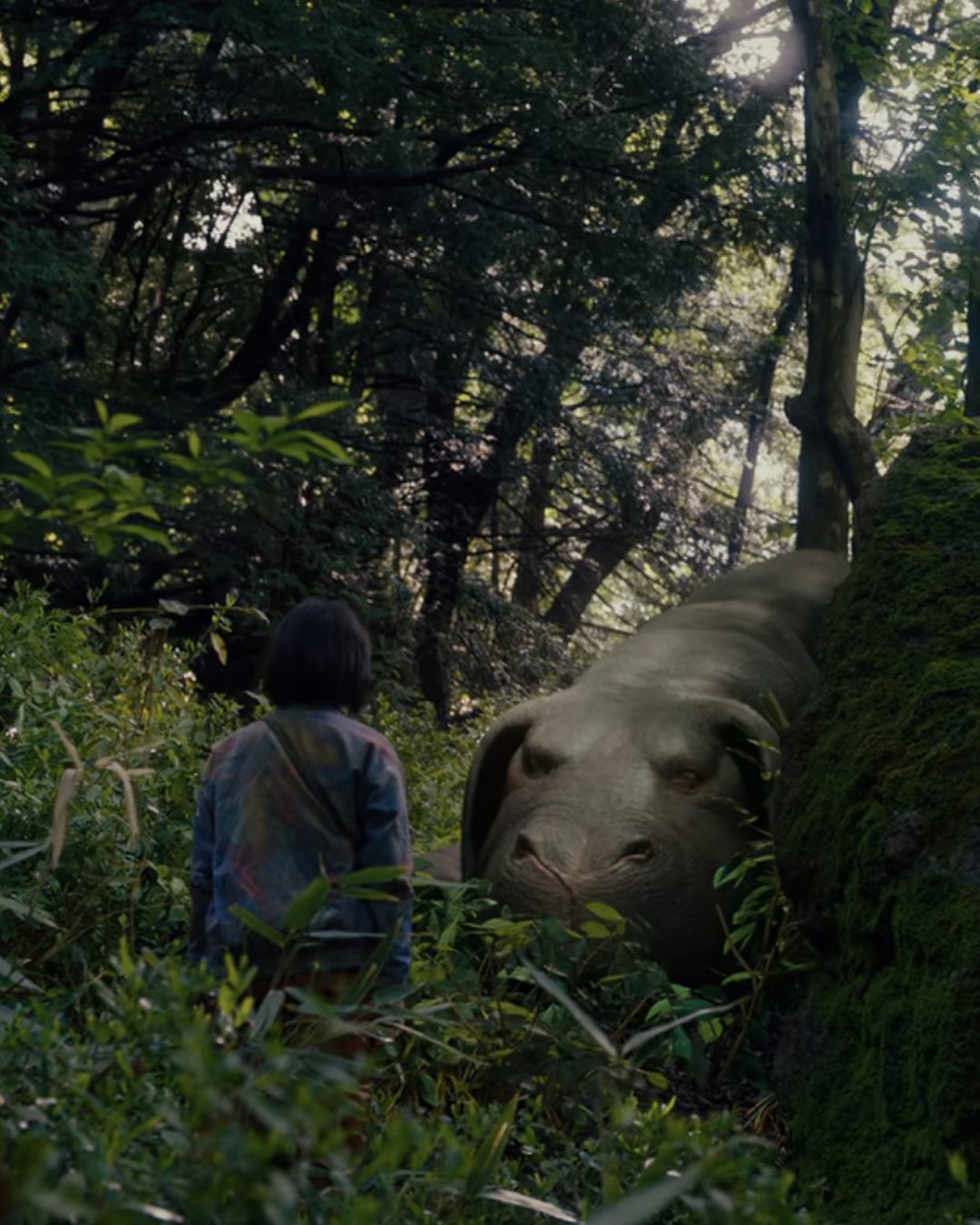 The Okja Breakdown