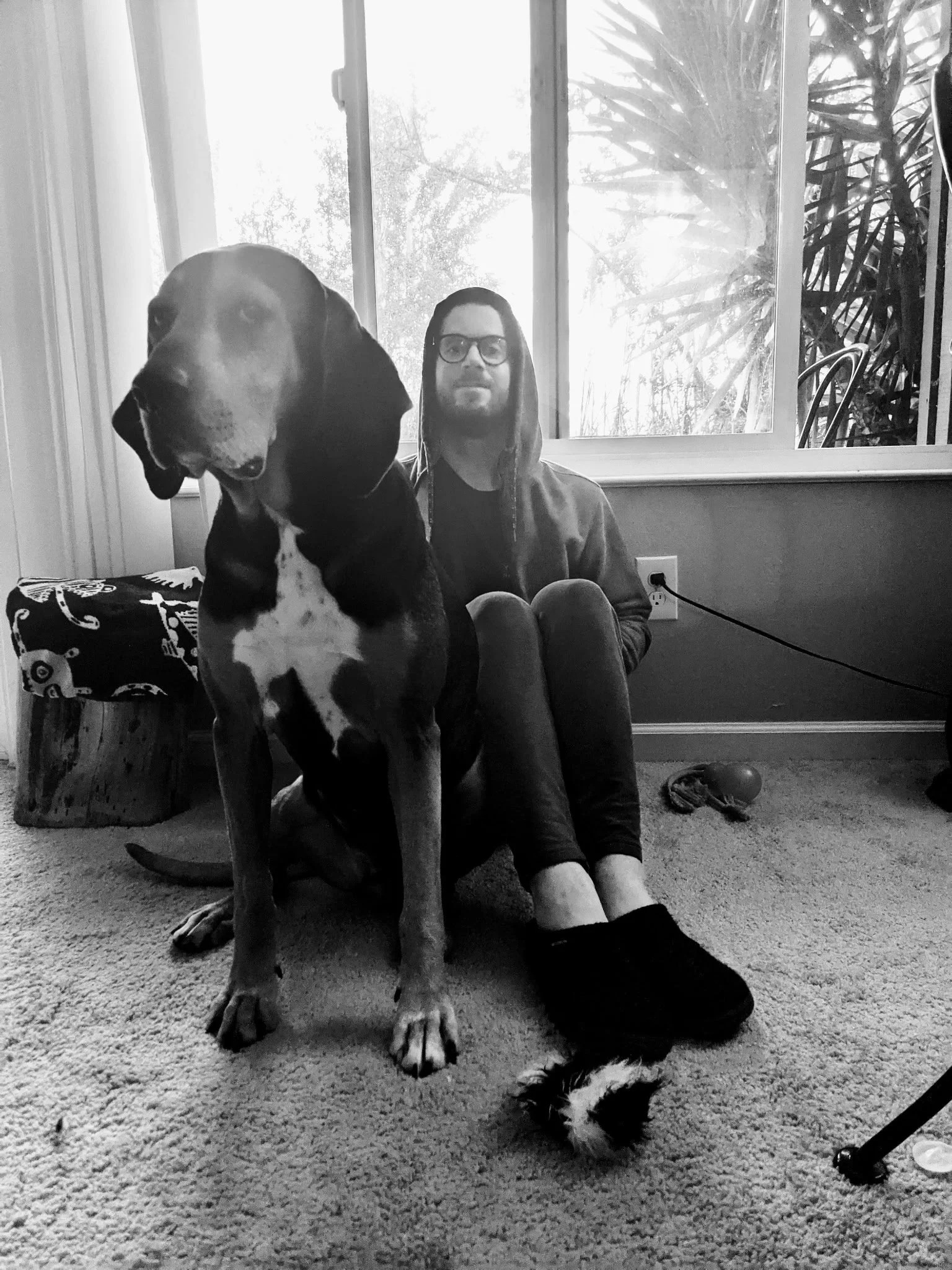 A man with glasses and a hoodie sitting inside near a window with a large dog sitting in front of him on a carpeted floor. There is a small black and white kitten lying on the floor near the man's feet. The background shows foliage outside the window, and a power outlet is visible on the wall.