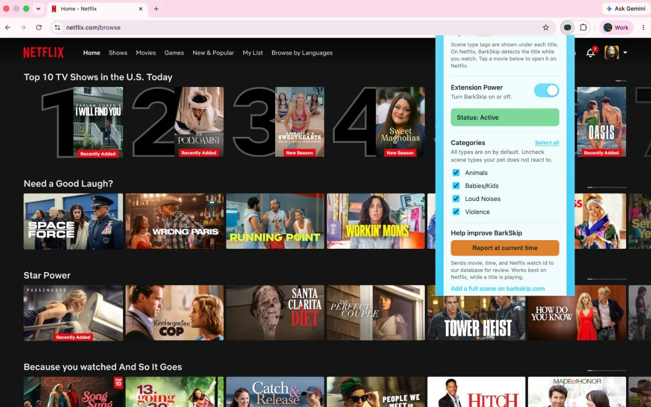 BarkSkip Chrome extension menu on Netflix bottom half