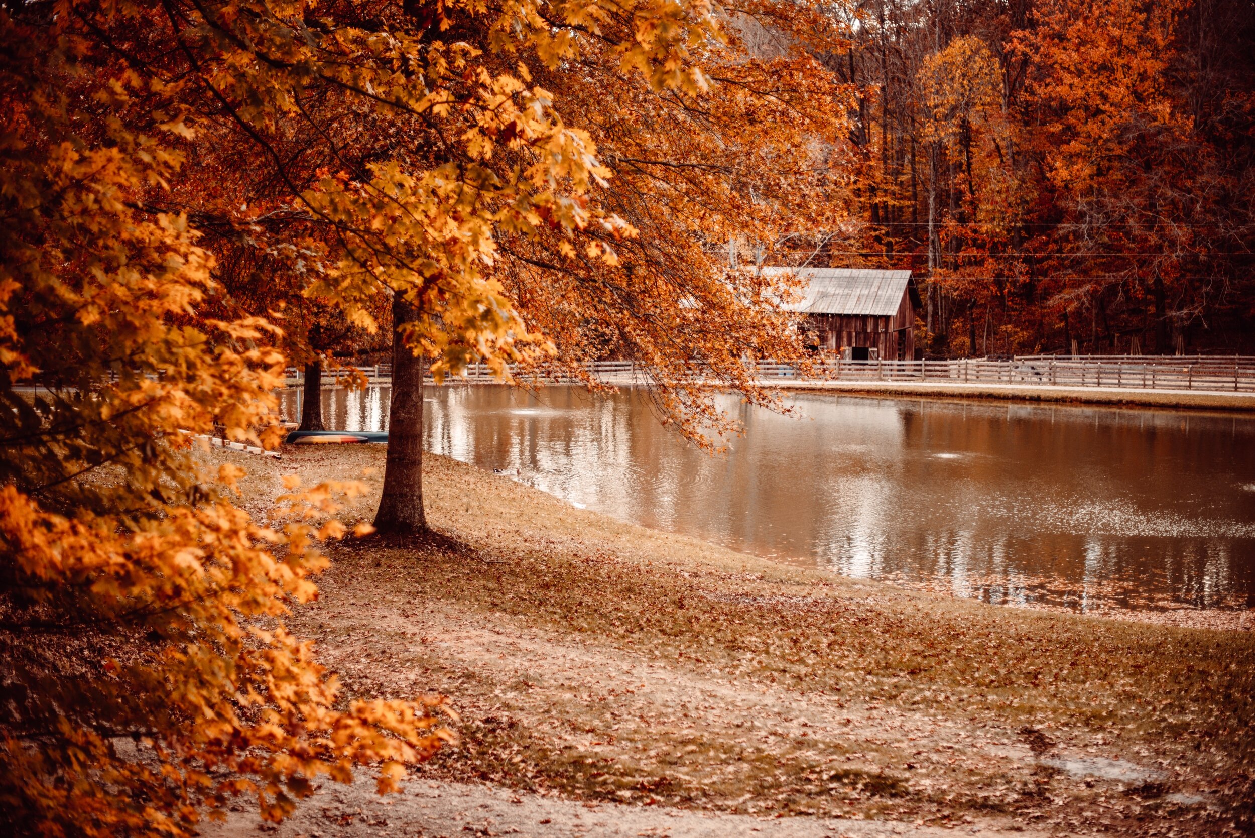 Canaan Valley Elopement Jonathan and Savannah 1.jpg