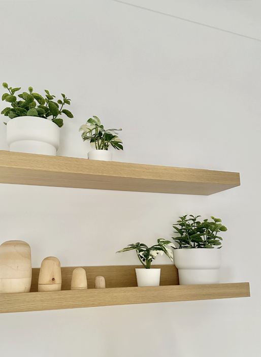 Decorative indoor plants in white pots on minimalist wooden shelves against a white wall.