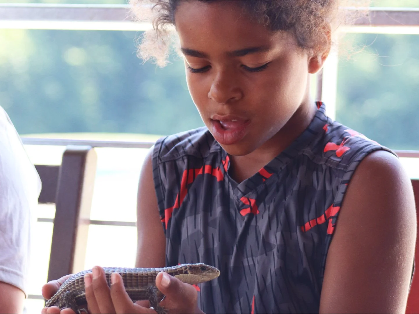Camp Red Cedar summer camper holding a small lizard, looking at it with curiosity.