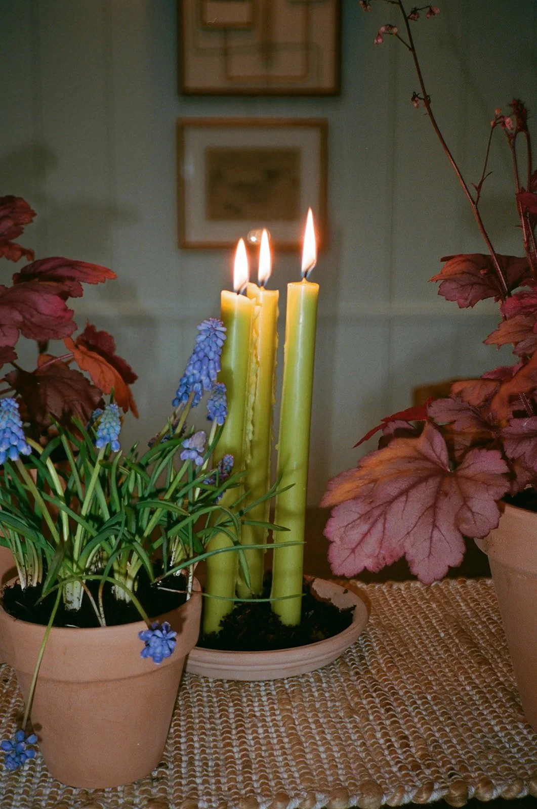 Nantucket_party_photography.jpg