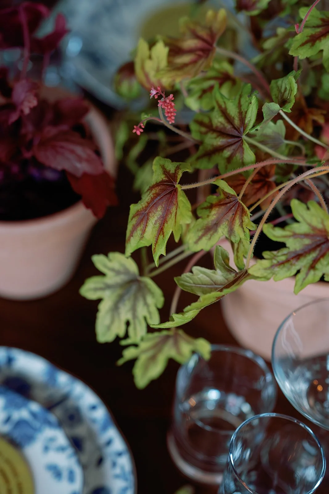 Nantucket_party_photography_11.jpg
