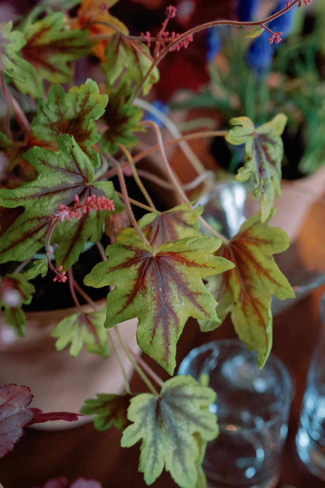 Nantucket_party_photography_14.jpg