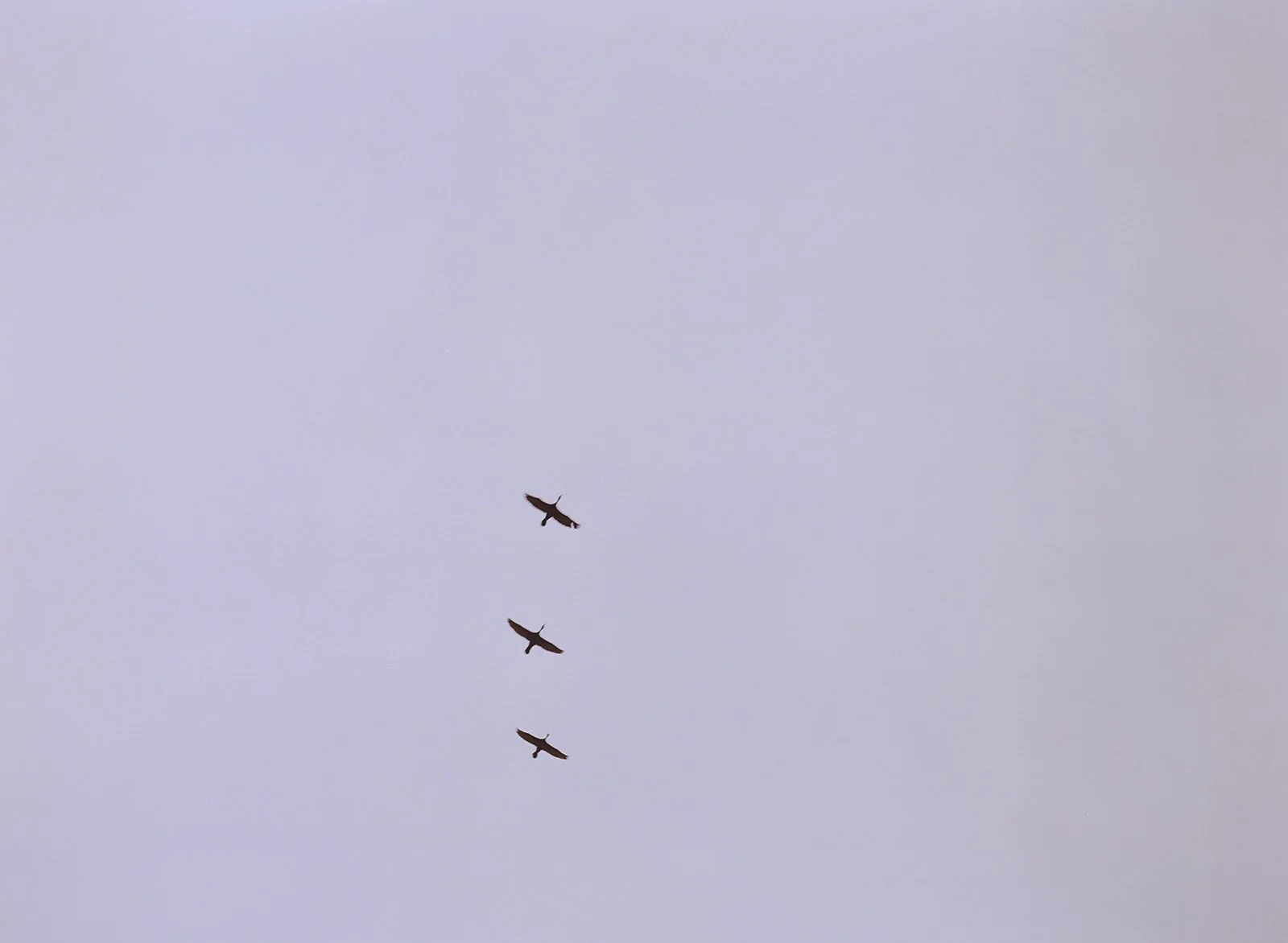 ACK_D3S1_KelseyMardPhoto_02.jpg