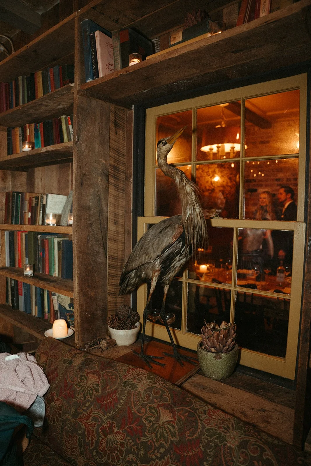 DSC09801.jpg