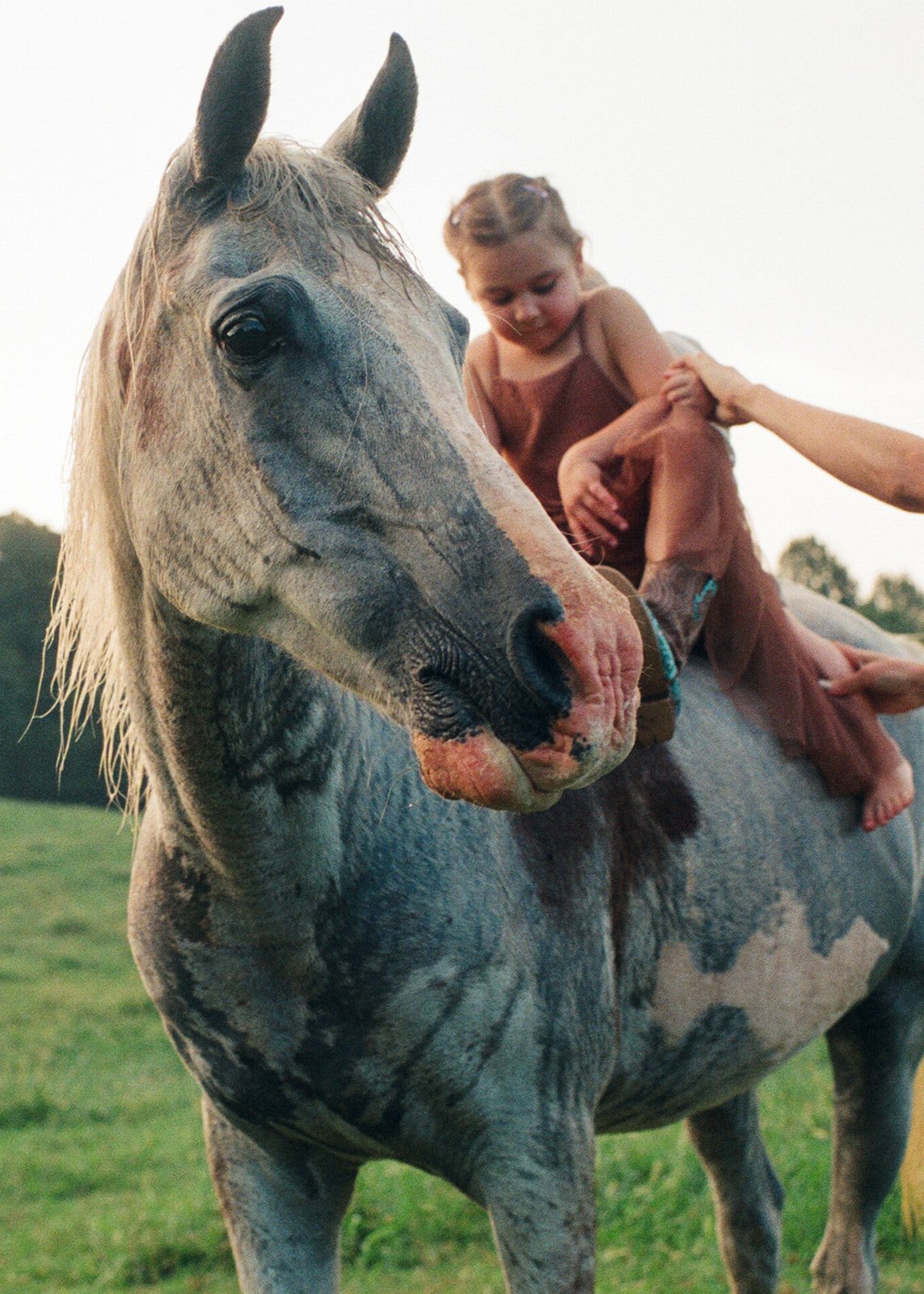 Lifestyle_Film_Family_Portraits156.jpg