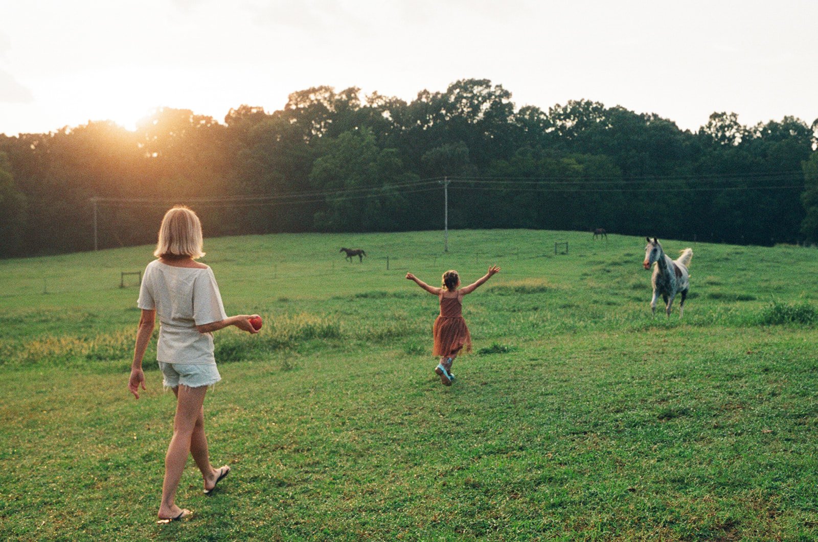 Lifestyle_Film_Family_Portraits130.jpg