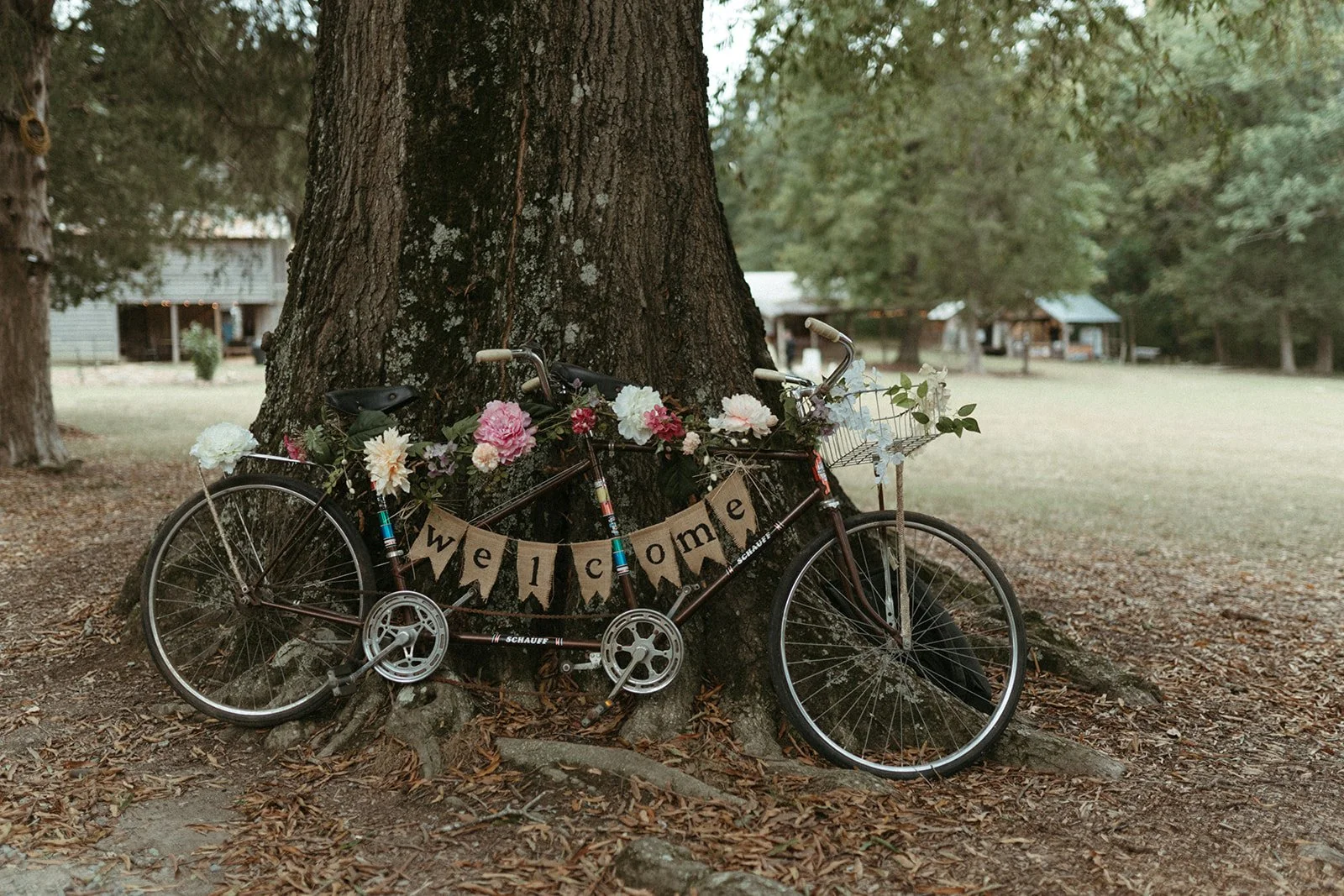 This is an image of a tandem bike leaning against a tree. It is covered in wildflowers and welcome sign at an intimate wedding reception at Shakori Hills in North Carolina.