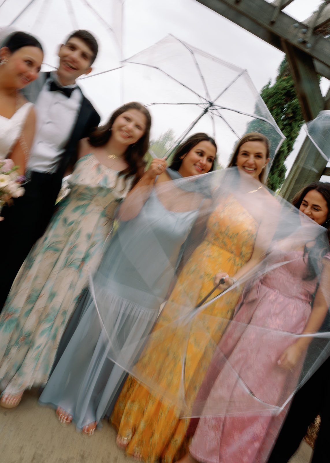 Charlotte_Park_Fig_Tree_Wedding_Filmweddingphotographer_Wedding_259.jpg
