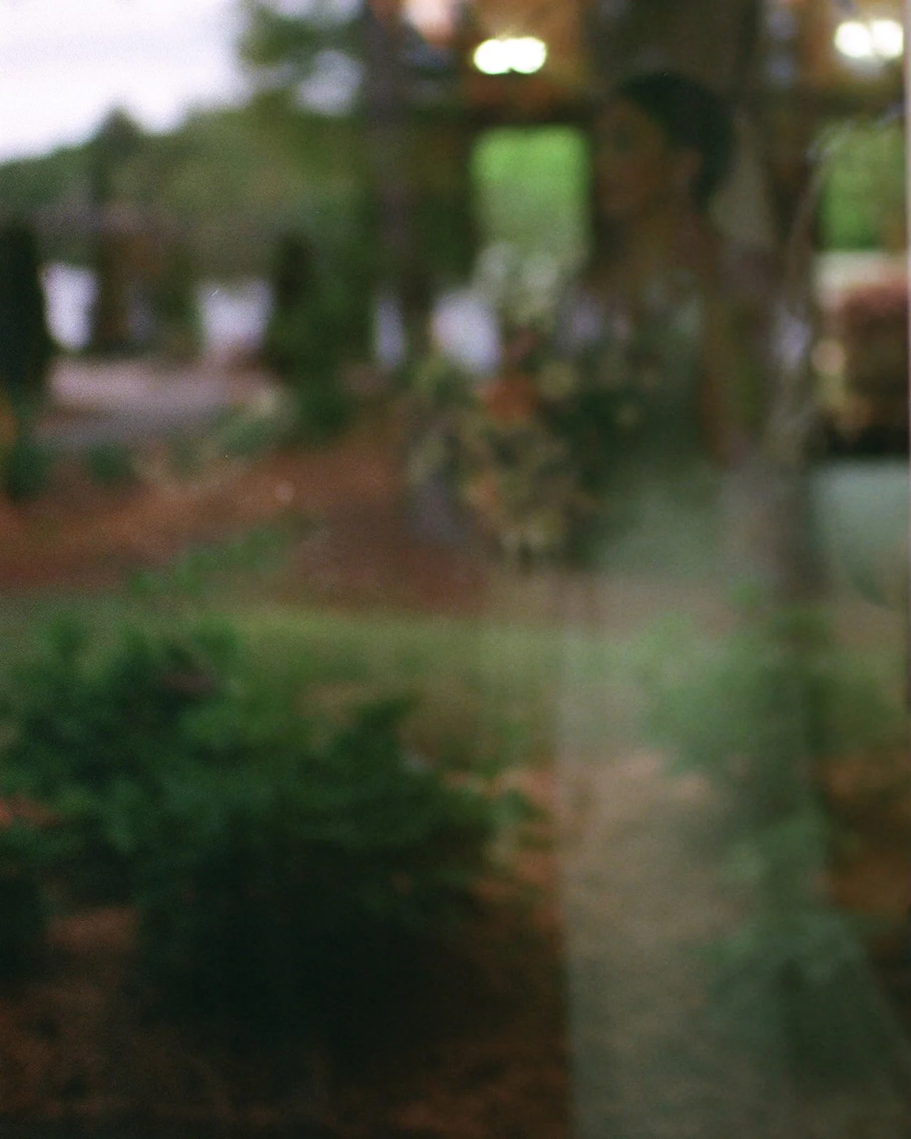 Charlotte_Park_Fig_Tree_Wedding_Filmweddingphotographer_Wedding_113.jpg