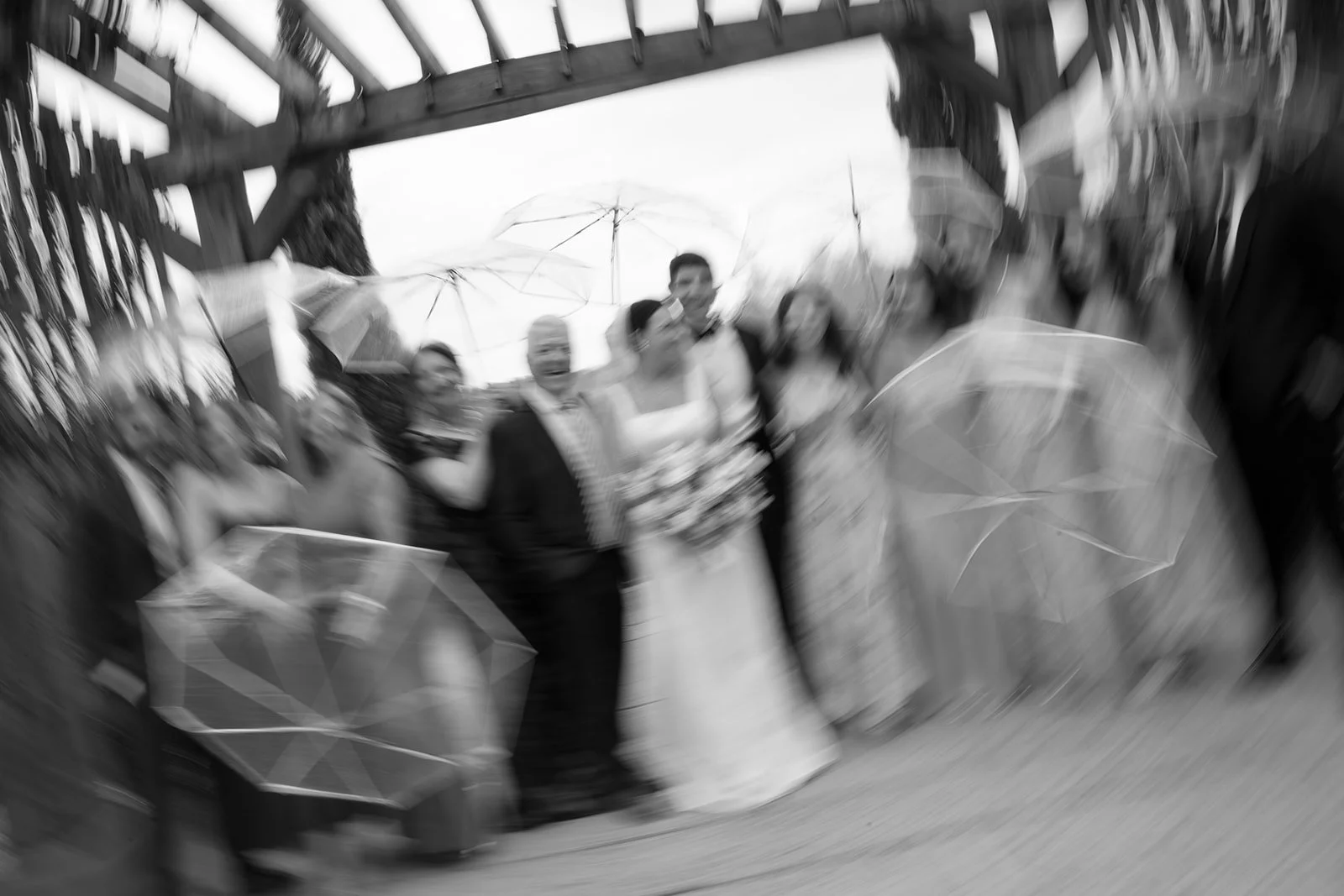 Charlotte_Park_Fig_Tree_Wedding_Filmweddingphotographer_Wedding_260.jpg