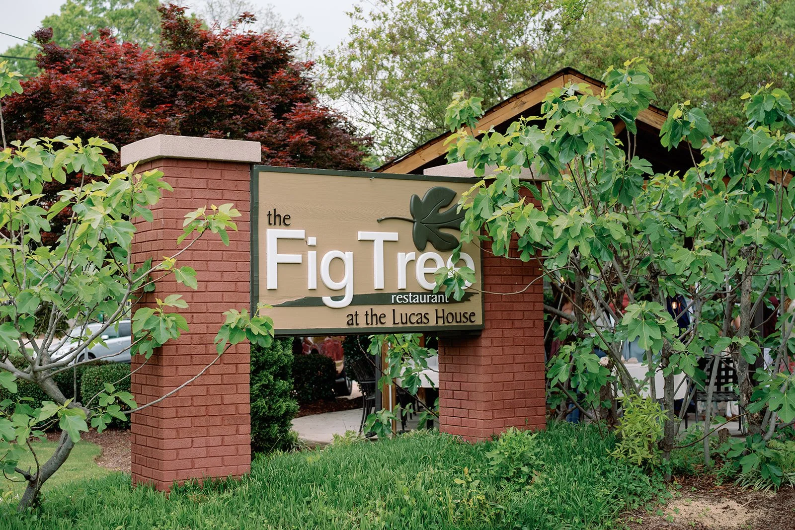 Charlotte_Park_Fig_Tree_Wedding_Filmweddingphotographer_Wedding_340.jpg