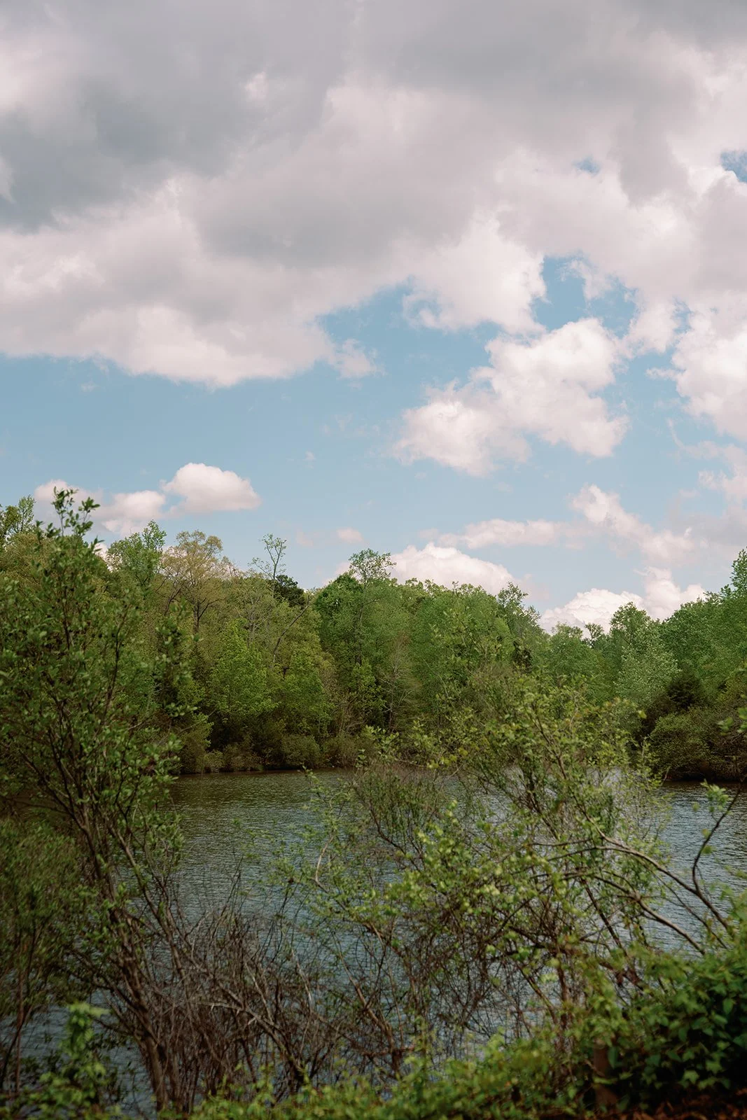 Charlotte_Park_Fig_Tree_Wedding_Filmweddingphotographer_Wedding_07.jpg