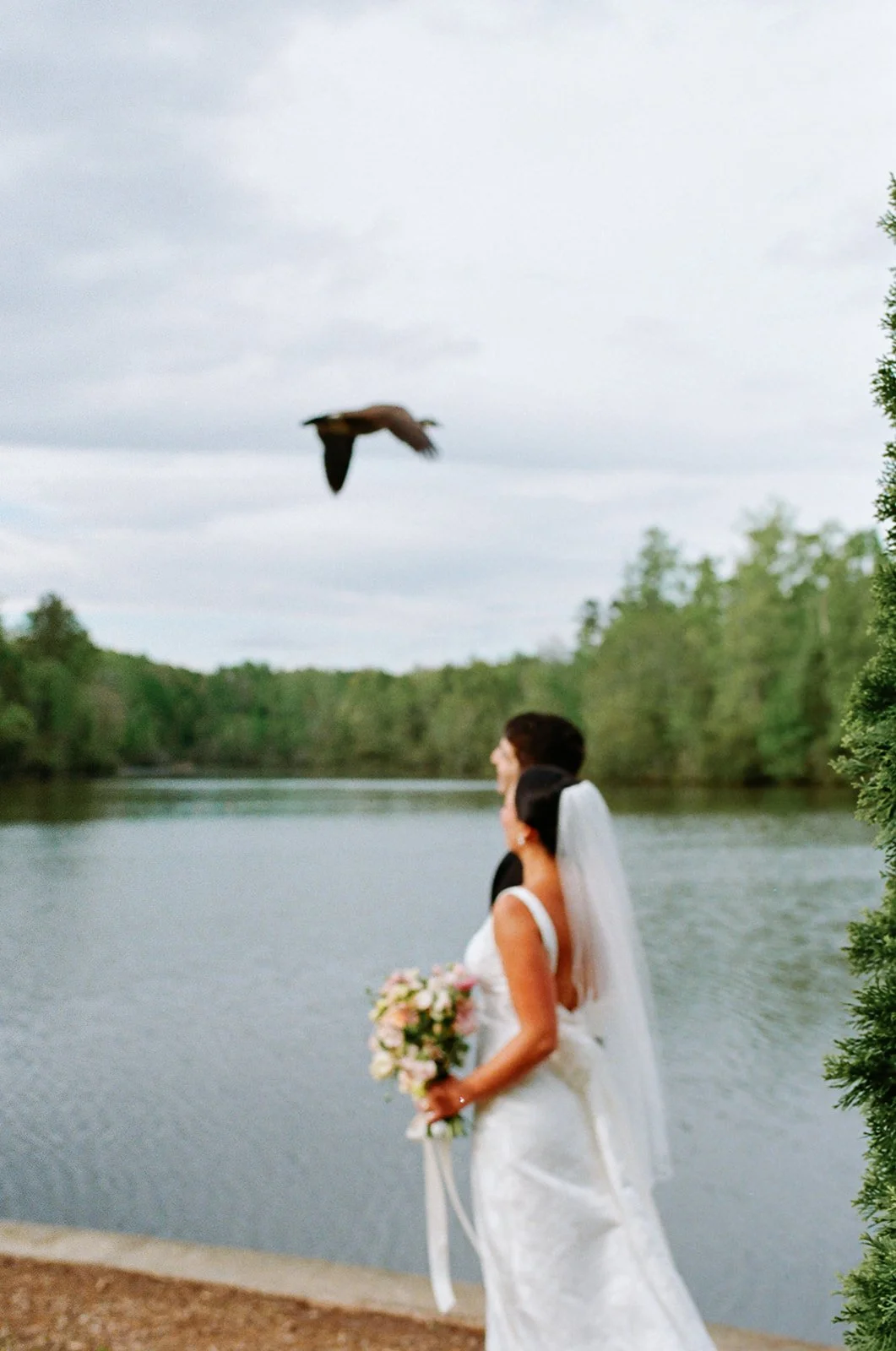 Charlotte_Park_Fig_Tree_Wedding_Filmweddingphotographer_Wedding_280.jpg