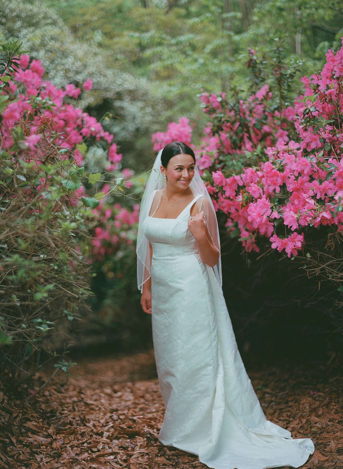 Charlotte_Park_Fig_Tree_Wedding_Filmweddingphotographer_Wedding_82.jpg