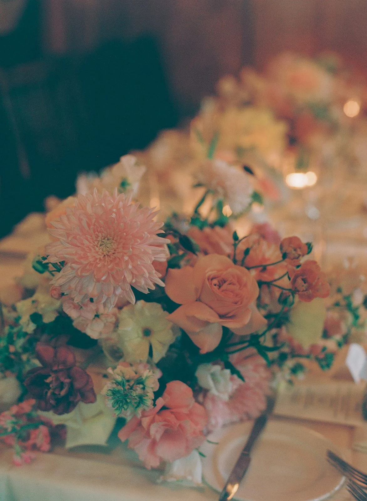 Charlotte_Park_Fig_Tree_Wedding_Filmweddingphotographer_Wedding_361.jpg