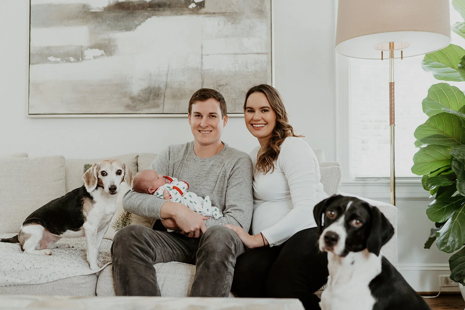  This is an image of a family sitting on a couch with their infant child and two older dogs during their newborn photo shoot. They are all looking at the camera and smiling. 