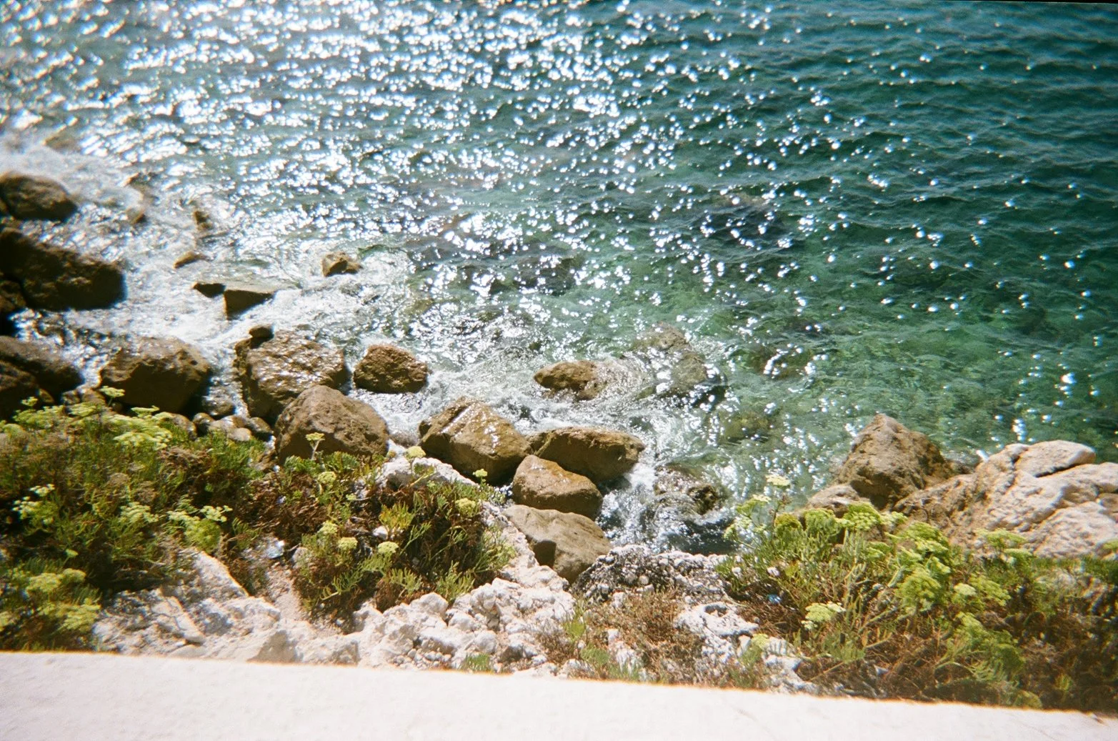 A rocky shoreline with clear water and sunlight reflecting off the surface, with some green plants and rocks at the edge.