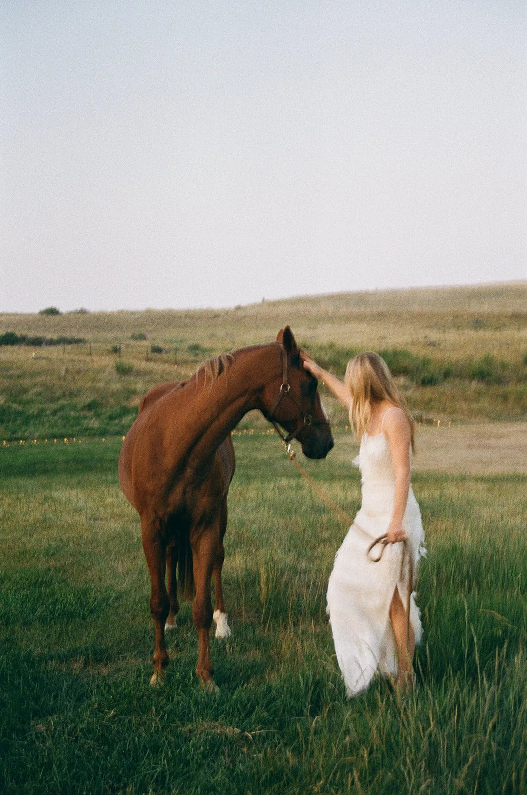 A woman in a white dress gently touching a chestnut horse's forehead in a grassy field