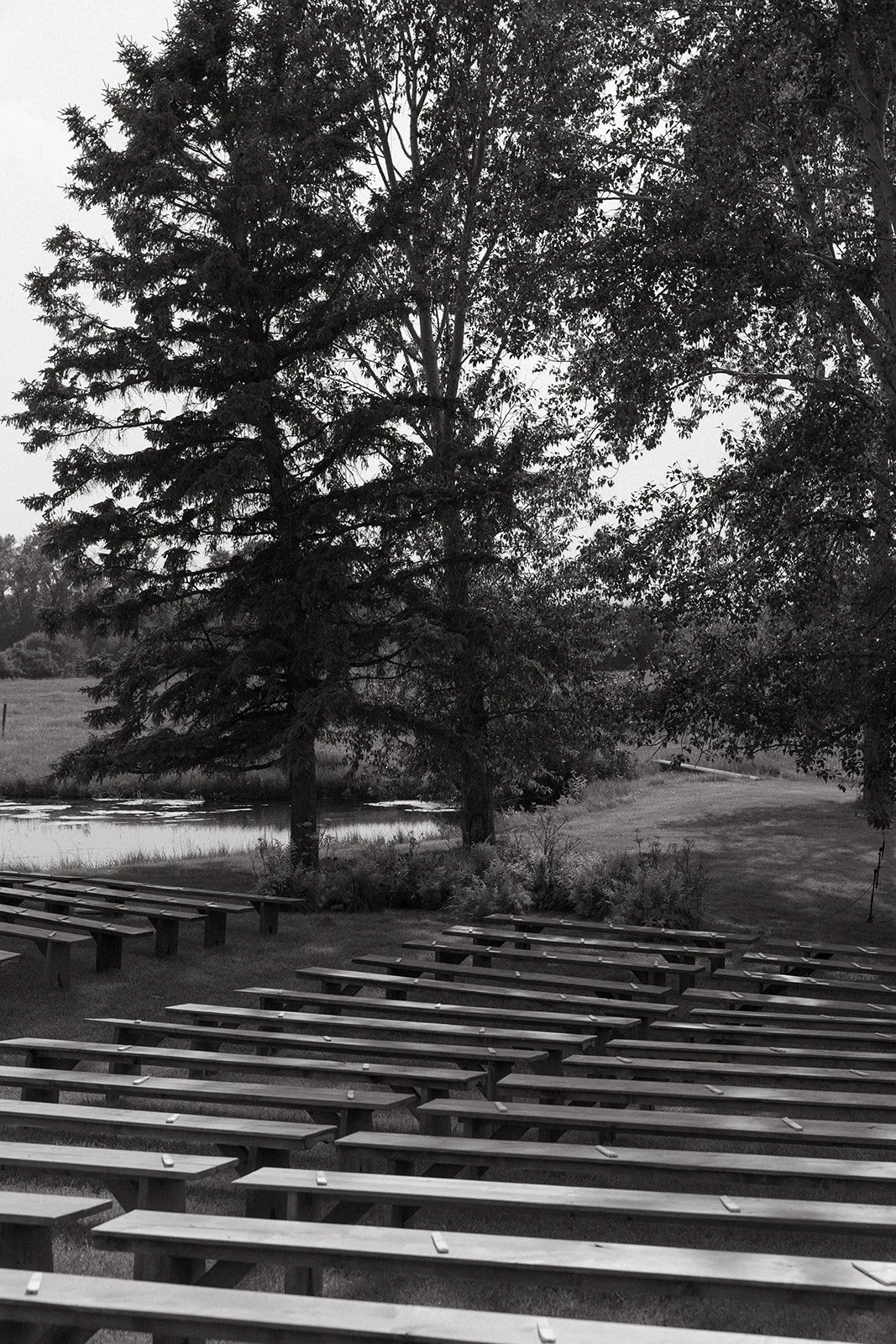 Empty outdoor amphitheater with benches near a pond and tall trees.